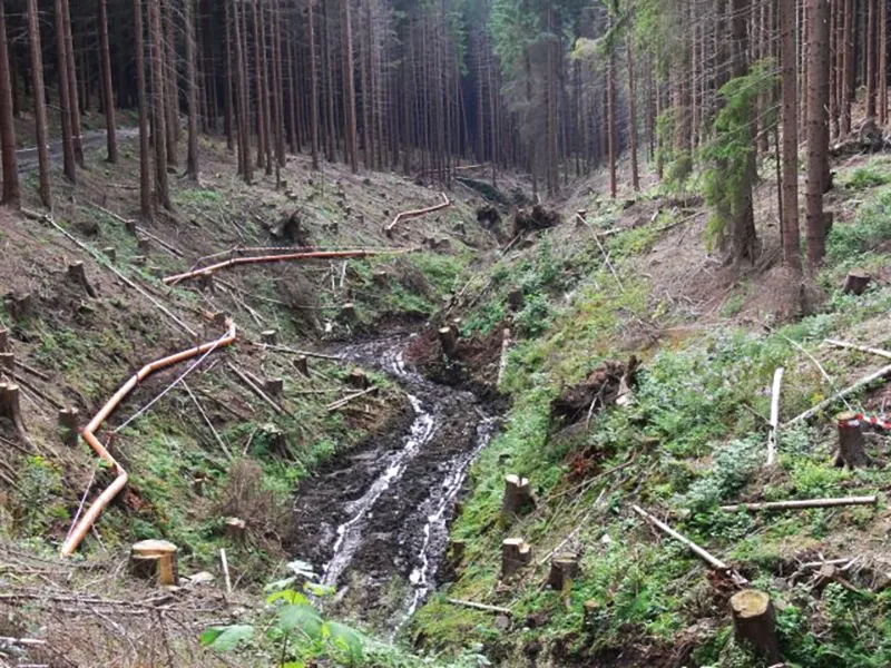 Renaturierter Bachlauf am Rüstungsaltstandort Rohrbach-Hirschhagen